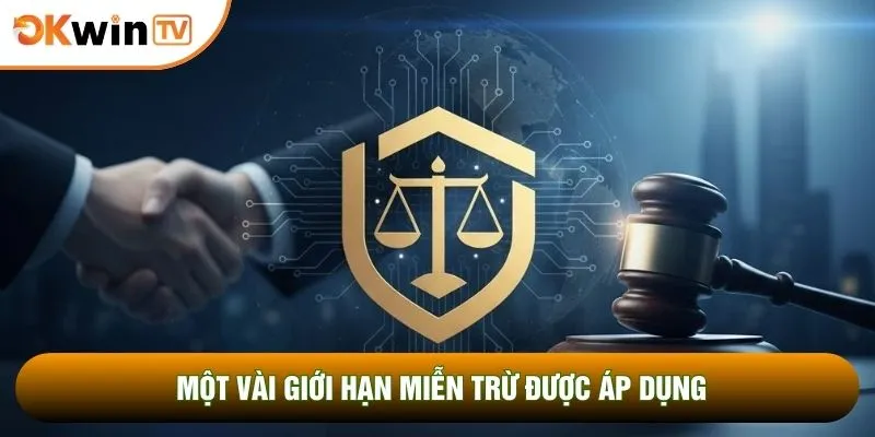 Miễn Trừ Trách Nhiệm 2 Một vài giới hạn miễn trừ được áp dụng